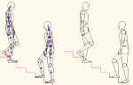 人物モデル化(成人男性階段上り下り) JWW | CAD-DATA.c...