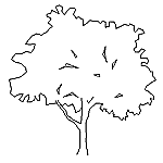 植栽 立面用 | CAD-DATA.com