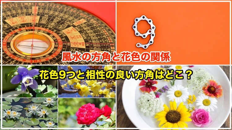 風水の方角8つと相性が良い花色9つ【金運アップは西に黄色ですよ!】