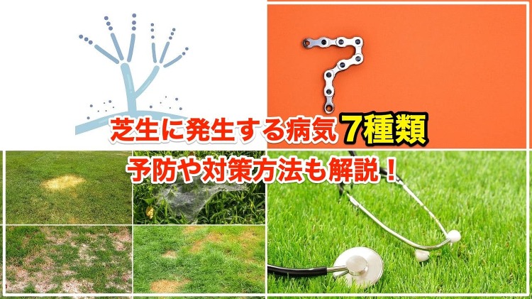 http://www.clovergarden-ex.co.jp/lawn/page10
