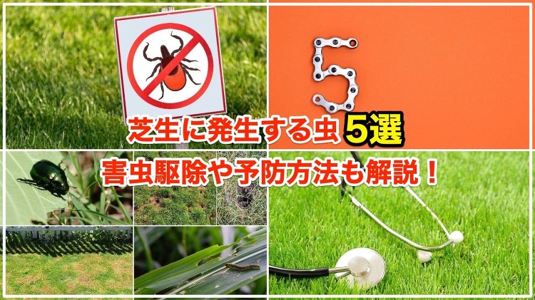 http://www.clovergarden-ex.co.jp/lawn/page21