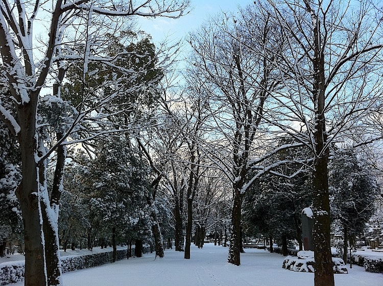 北野天満宮の雪景色 | 京都建築家設計事務所 ｜有限会社 ディー・アー...