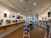 【展示】「Life in Black and White/エヴァ・パル...