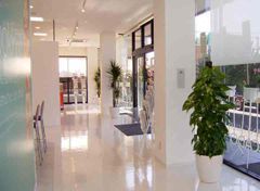 観葉植物レンタル施工事例 | やまと園芸