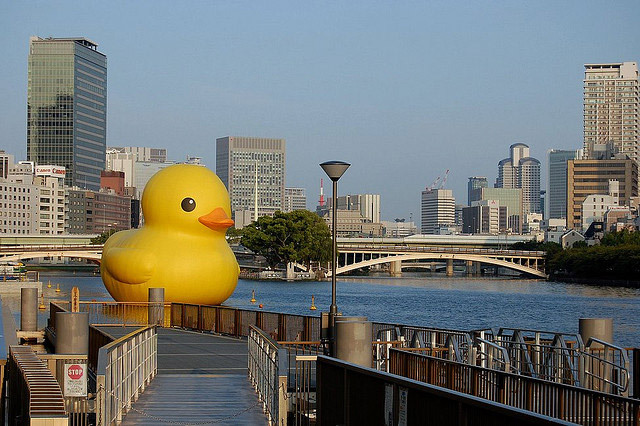 水都大阪2009 八軒家浜の巨大アヒル 写真一覧
