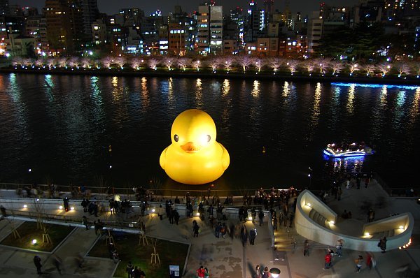 Osaka光のルネサンス2009で巨大アヒルが大阪に帰ってくる←ライト...