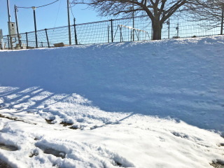 年始早々大雪って… | いしざき社長の庭ブログ