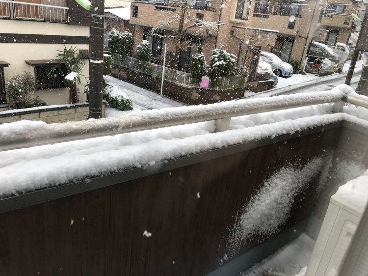 季節外れの都心の雪 | 株式会社ジョスコム/Dr.Red(ドクターレッ...