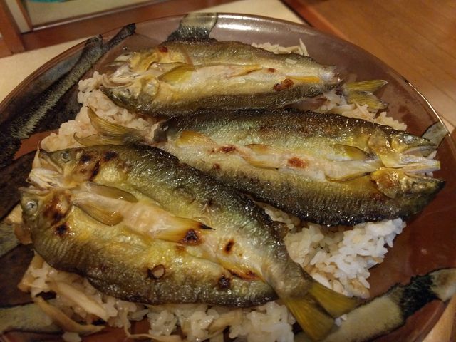 「オススメ 鮎ご飯」 - ブログ - 神奈川エコハウス 環境・健康・景...