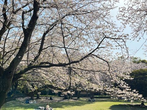 春の訪れ - ブログ - 神奈川エコハウス 環境・健康・景色を大切に考...