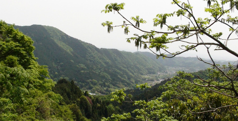 かながわ県産木材 補助金キャンペーン - ブログ - 神奈川エコハウス...