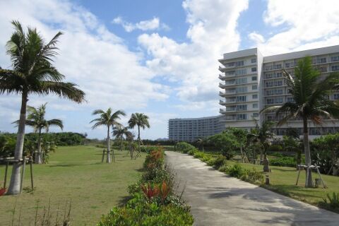 春の沖縄旅行 - ブログ - 神奈川エコハウス 環境・健康・景色を大切...