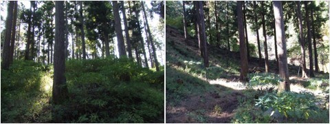 1年点検 - ブログ - 神奈川エコハウス 環境・健康・景色を大切に考...