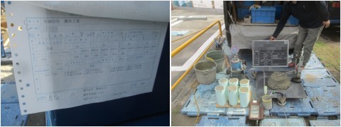丹沢山地ヒノキ・スギの森 原木伐採現場 社内視察研修 - ブログ - ...