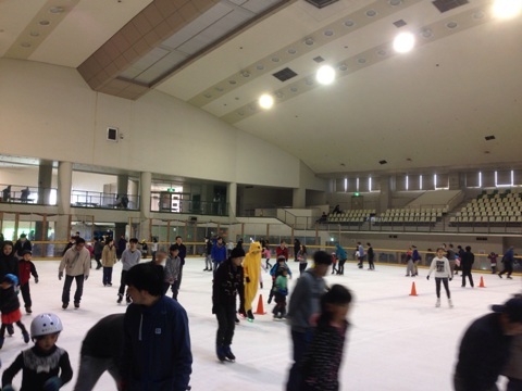 スケートの夢 - ブログ - 神奈川エコハウス 環境・健康・景色を大切...
