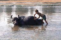 essay 136 irregular 2 - 神奈川県小田原市にある...