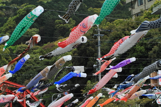 ゴールデンウィーク(4/29?5/6)休業のお知らせ - 神奈川県小田...