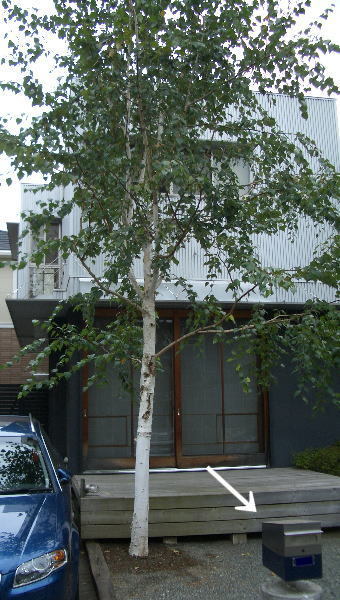 カッコいいポスト - 神奈川県小田原市にあるデザイン建築設計の天工舎一...