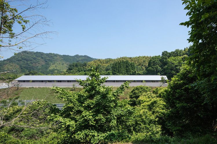 社会福祉法人誠和会障がい者支援施設 精粋園(熊本県玉名郡)│【松山建築...