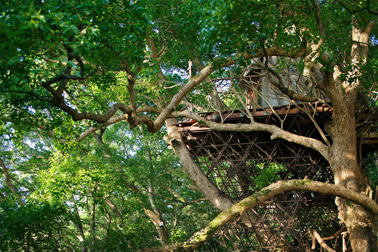 Birds Nest Atami | Hiroshi Nakamura...