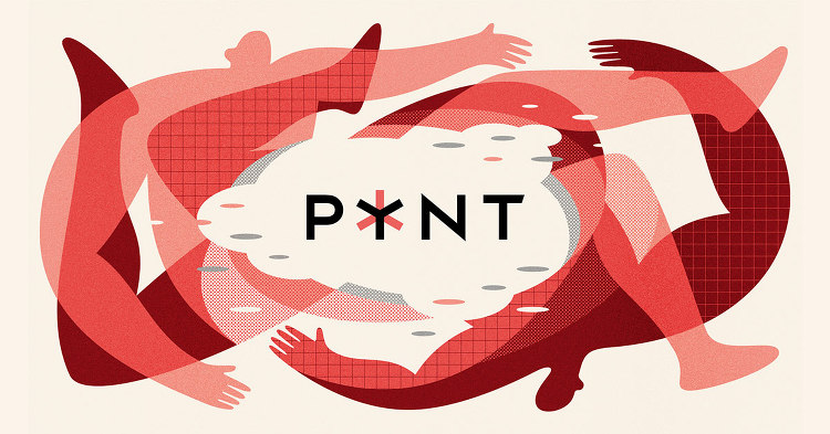 PYNT | NIKKEN SEKKEI LTD