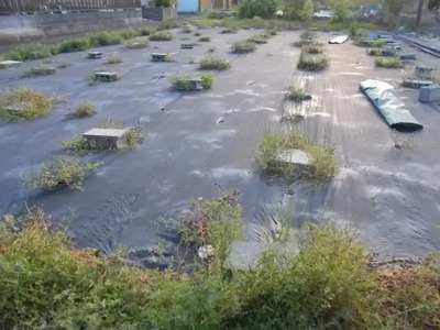 防草シートの意味ない？5つのデメリットと正しい使用方法を徹底解説！ |...