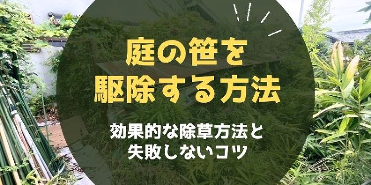 庭の笹を駆除する方法｜効果的な除草剤と失敗しないコツ