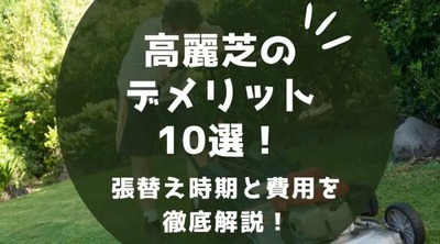 高麗芝のデメリット10選を徹底解説！