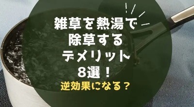 雑草に熱湯で除草するデメリット8選！逆効果になる？ | 奈良の庭のリフ...