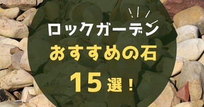 【プロが解説】ロックガーデンの石の選び方|おすすめ15選とDIYの作り...