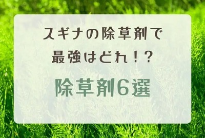 スギナの除草剤で最強なのはどれ!?雑草を徹底駆除する除草剤6選 | 奈...