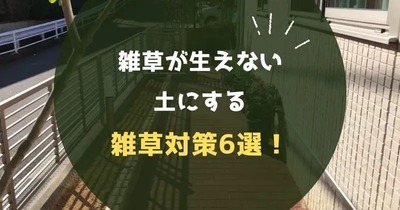 雑草が生えない土にする雑草対策６選！固まる土や防草砂を徹底解説 | 奈...
