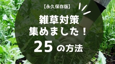 【雑草対策】徹底比較！費用対効果で選ぶ除草・防草方法25選！