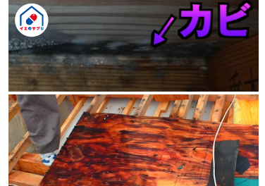 天井・小屋裏の結露で家がカビる!?結露を放置するリスクと3つの対策｜日...