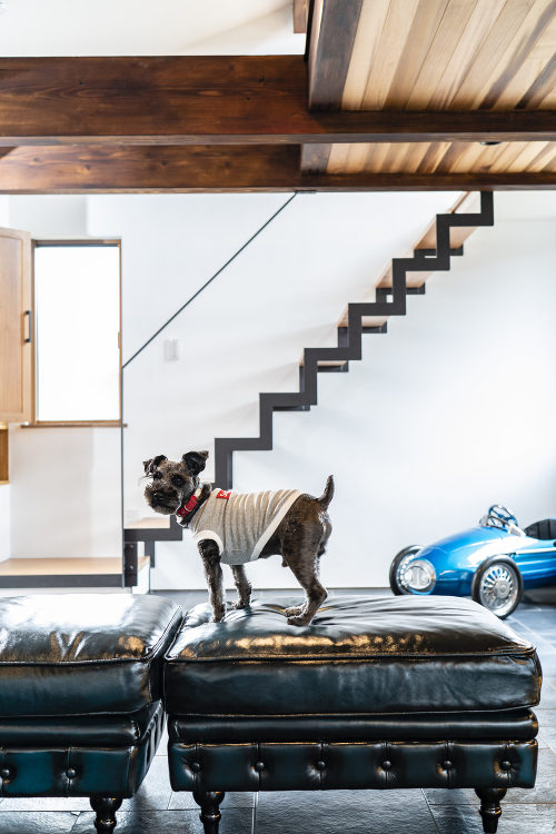 WANダフルHouse|愛犬と快適に暮らす家|サーフスタイルと自然素材...