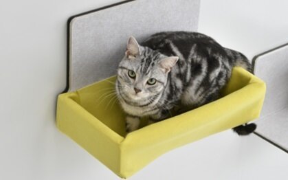 LIXIL、「猫壁」にハンモックを追加 :: リフォーム産業新聞