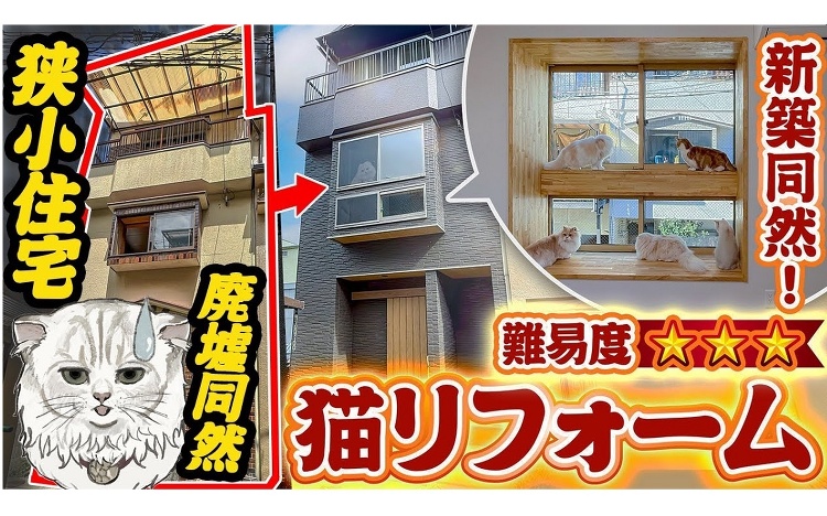 「猫と共生」テーマに年商5億円、築43年物件の猫リノベ2700万円に ...