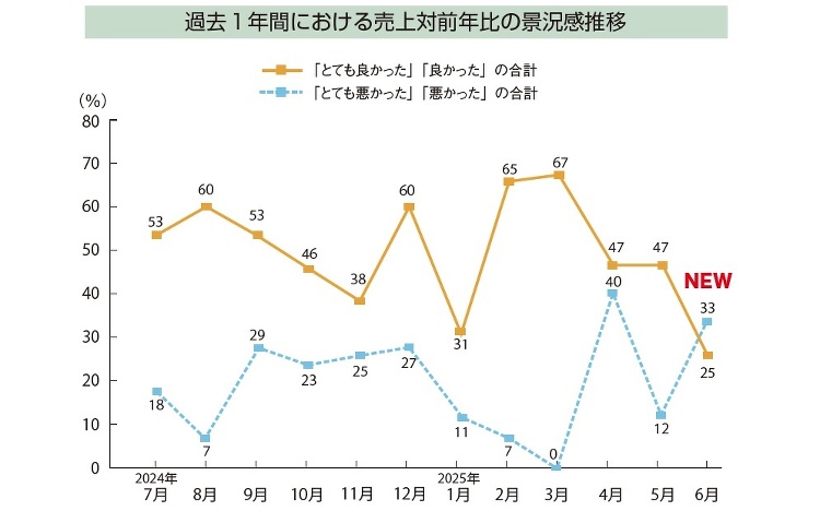 【景況感調査2025年6月】売上対前年比「良い」22pt減 :: リフ...