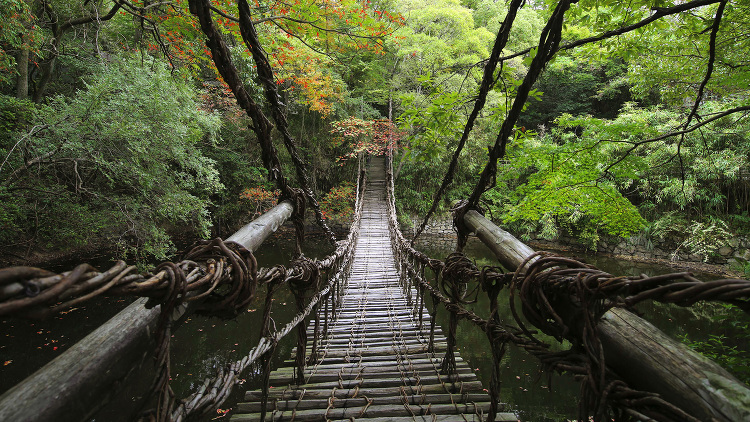 ENTRY | SHIKOKUMURAENTRY SHIKOKUMUR...