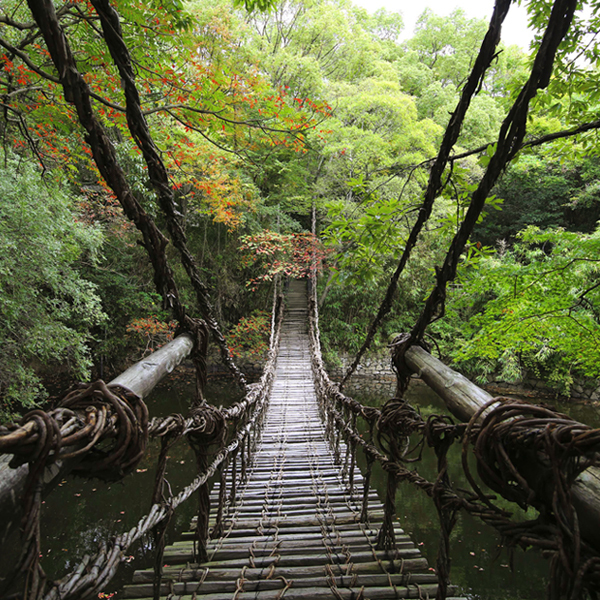 Pont de liane | BÂTIMENTS | GUIDE |...