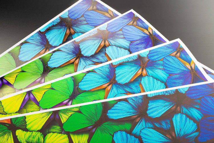 水性メディア | 新星コーポレィション