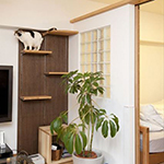 猫との暮らしをもっと幸せに快適に♪ペットリノベ第2弾 | リノベーショ...