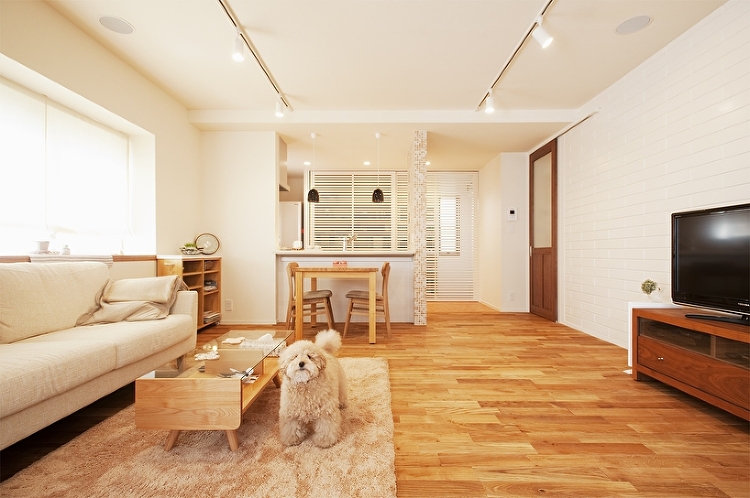 光を取りもどして･･･ペットも人も心地のよい暮し | リノベーション・...