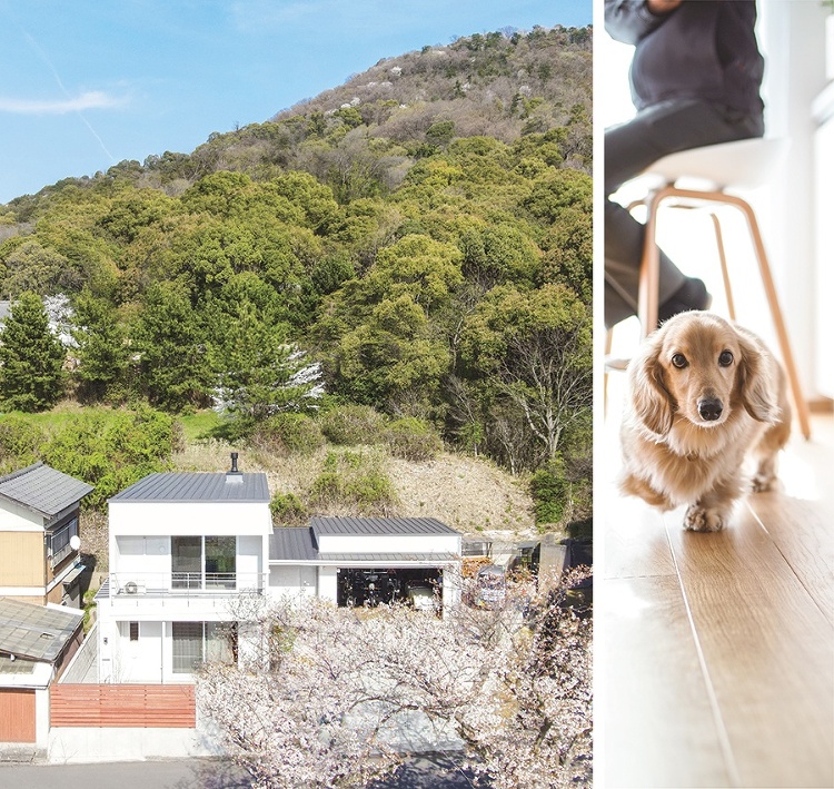 あののぉ vol.64 2023 春夏合併号 | 香川県の建設会社・工...