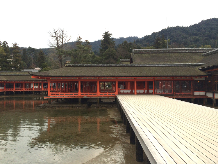itsukushima |TNdesign