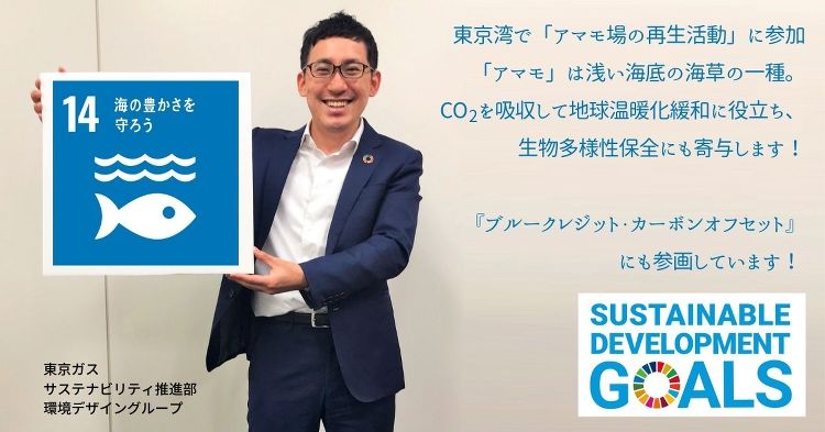 今日は「世界海洋デー」◆注目のブルーカーボン・クレジット | 東京ガス...