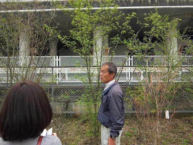 庭に植える樹木を選びに行ってきました!@住吉本町 | 土壁のトヨダヤス...