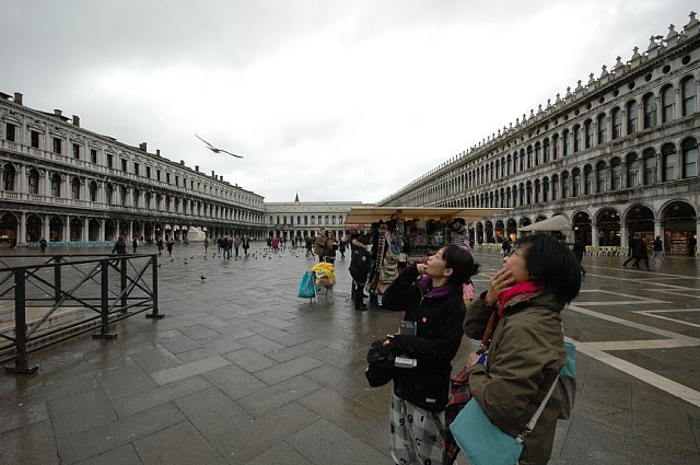 2017年9月よりスタッフ追加募集します。 | 土壁のトヨダヤスシ建築...