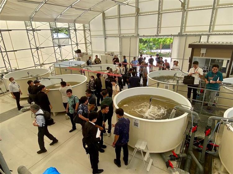 琉球大学養殖技術研究センター(農水一体システム実証エリア)一般公開見学...
