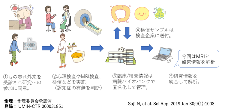 脳の基底核領域の血管周囲腔拡大は認知機能検査(前頭葉機能検査: FAB...